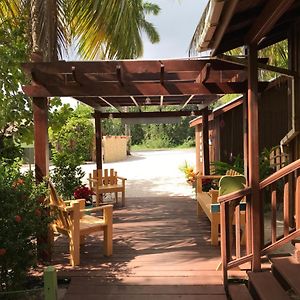 Green Parrot Beach Houses And Resort